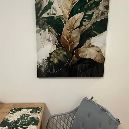 公寓 Leaf 弗罗茨瓦夫